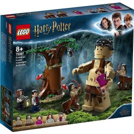 LEGO HARRY POTTER PADUREA INTERZISA INTALNIREA DINTRE GRAWP SI UMBRIDGE 75967