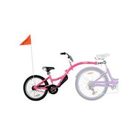 Bicicleta Co-Pilot Roz