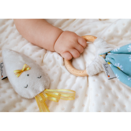 Jucarie senzoriala 3 in 1 Kokoro