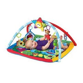 Baby Einstein-90575 Salteluta De Activitati “Omida Si Prietenii”