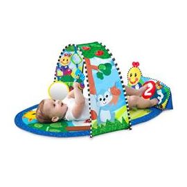 Baby Einstein – 90682 Salteluta de activitati Omida si Tunelul Veseliei