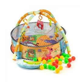 Salteluta de joaca cu bile Ecotoys 518A-08 - Multicolora