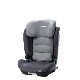 Scaun auto pentru copii, Rider, 100 - 150 cm/ 3 - 12 ani, Tehnologie Isofix, Cu spatar reglabil, Cu tetiera reglabila in 10 pozitii, Conform cu standardul european de securitate ECE R129, FreeON, Grey