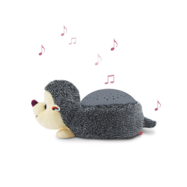 PROIECTOR SAU LAMPA DE VEGHE MUZICALA ARICIUL HARRY