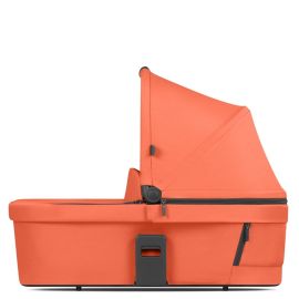 Landou Carrot ABC Design