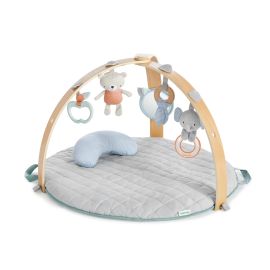 Ingenuity - Salteluta de activitati cu doua fete Cozy Spot