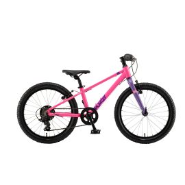 Bicicleta Copii Polar Fuzzy - 20 Inch, Roz